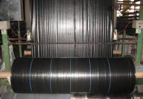 山东德州防草布厂家